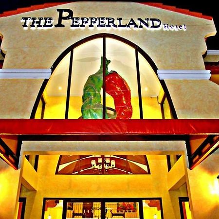 The Pepperland Hotel Legazpi Exterior foto